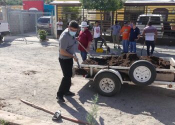 Realizan campañas de reforestación y limpieza en La Mesa