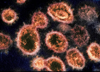 Expertos chinos desarrollan anticuerpo aspirable contra SARS-CoV-2 y sus variantes