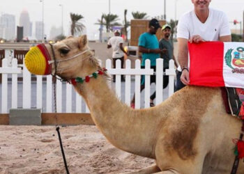 Un camping en el desierto durante el Mundial de Qatar