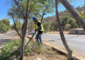 Rehabilita Imagen Urbana el parque de Las Bellotas