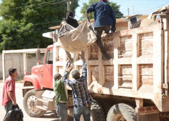 Recogen más de 22 toneladas de cacharros y basura en jornadas de limpieza