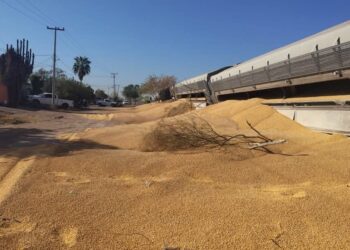 Protección Civil de Navojoa Sobre el descarrilamiento del tren emite comunicado