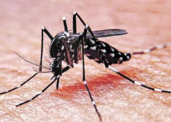 Inicia Salud Municipal acciones preventivas contra el dengue