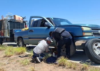 Registra Gobierno de Sonora más de 54 mil envoltorios de narcótico asegurados en operativo de la Policía Estatal
