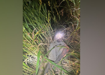 EN HERMOSILLO ENCUENTRAN CUERPO SIN VIDA.