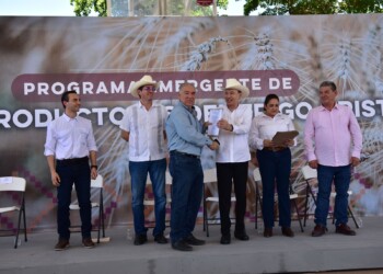 Centro de neurodesarrollo, becas y apoyos a productores trigueros entrega Gobernador Durazo en Navojoa