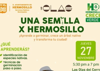 Invita Gobierno de Hermosillo a Taller “Una Semilla X Hermosillo”