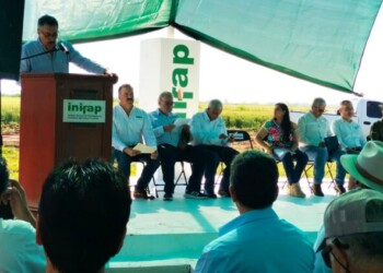 LAMARQUE RECONOCE 70 AÑOS DE ESFUERZO AGRÍCOLA EN EL VALLE DEL YAQUI