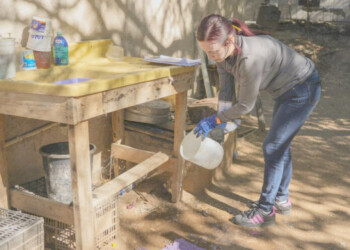 Refuerzan llamado a prevenir el dengue ante temporada invernal atípica