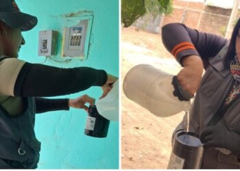 Refuerzan vigilancia del dengue mediante uso de ovitrampas