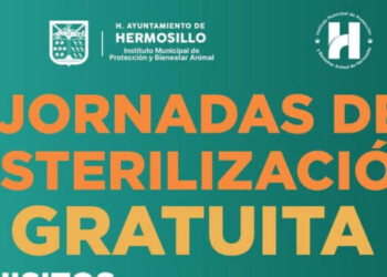Mantiene agenda abierta Ayuntamiento de Hermosillo para esterilizaciones gratuitas para perros y gatos