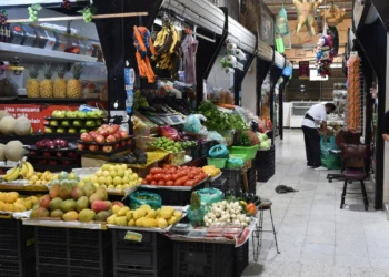 ¡Golpe al bolsillo! Alzas mayores a 100% en frutas y verduras obligan a comprar “de poquito”
