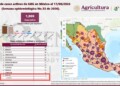 Detectan en Sonora primer caso de Gusano Barrenador