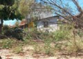 Continúa Ecología Municipal con retiro de árboles derribados por tormentas