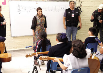 Dan una manita de gato a 782 escuelas