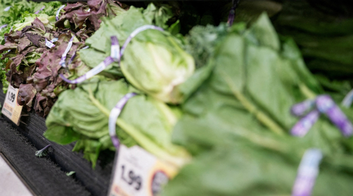 Salmonella y Cyclospora: Estados Unidos cierra investigaciones sin confirmar origen en productos mexicanos