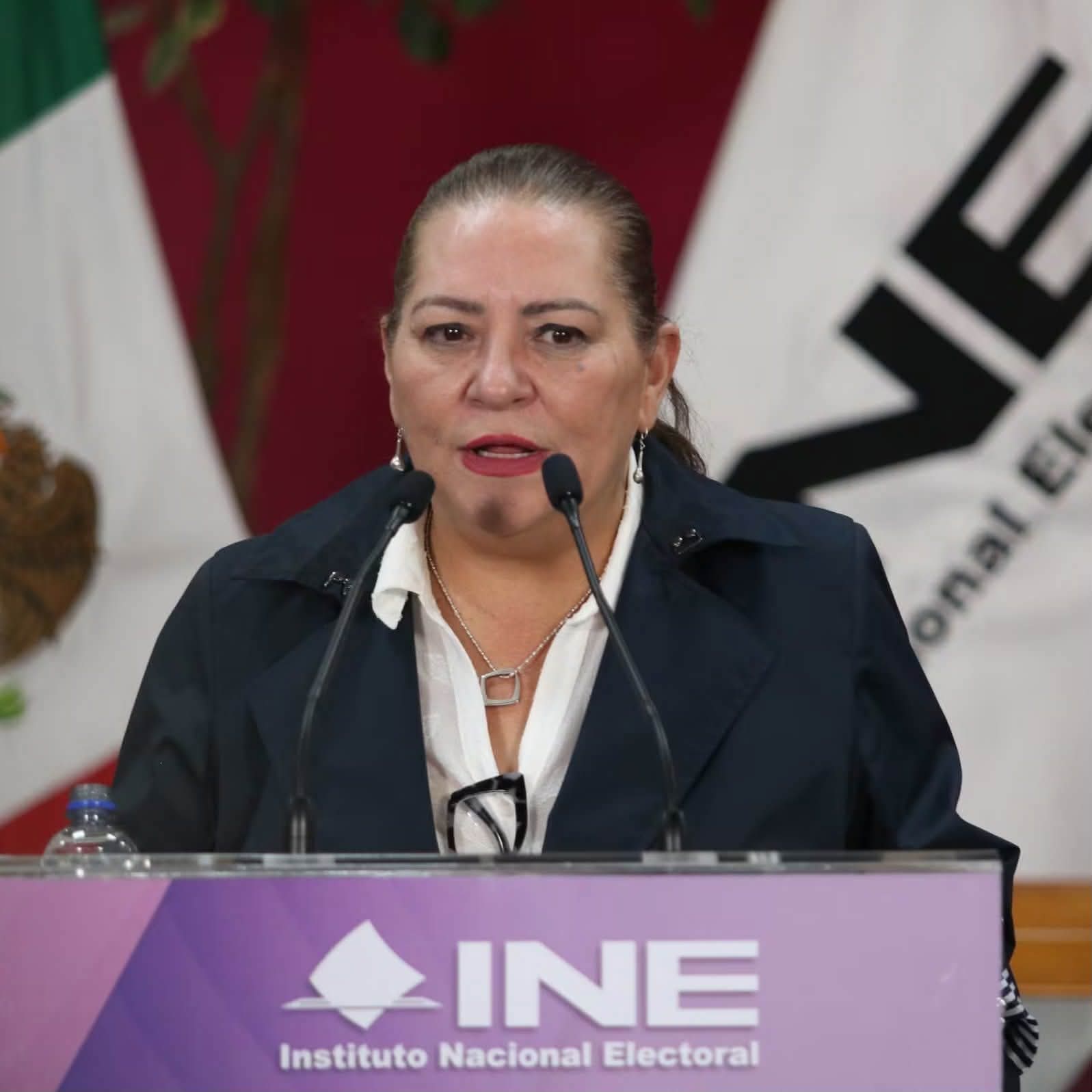 TADDEI PRESENTA SU RENUNCIA AL INE ANTE LA CÁMARA DE DIPUTADOS: “ME RETIRO CON SERENIDAD”